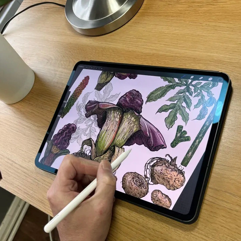قلم لمسی اپل مدل Apple Pencil Pro