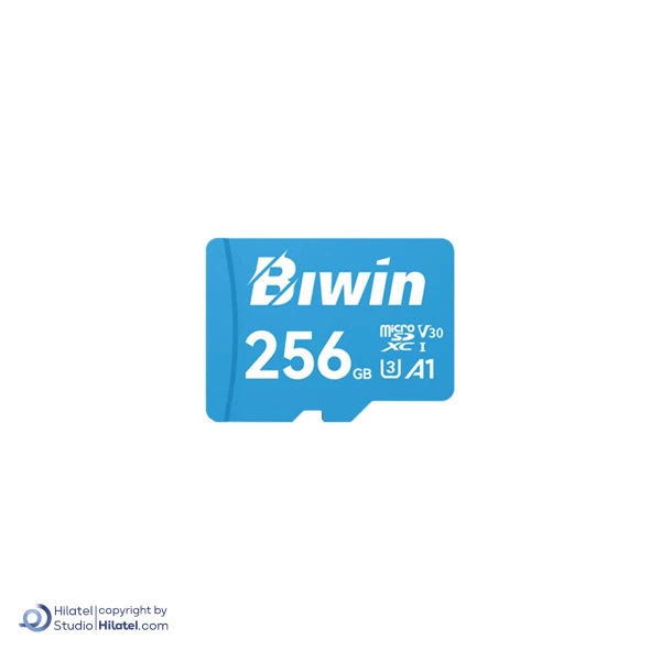کارت حافظه Micro SD بیوین ظرفیت 256 گیگابایت مدل MS100